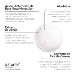 Serum Japanese Ritual Smoothing Face Revox 4